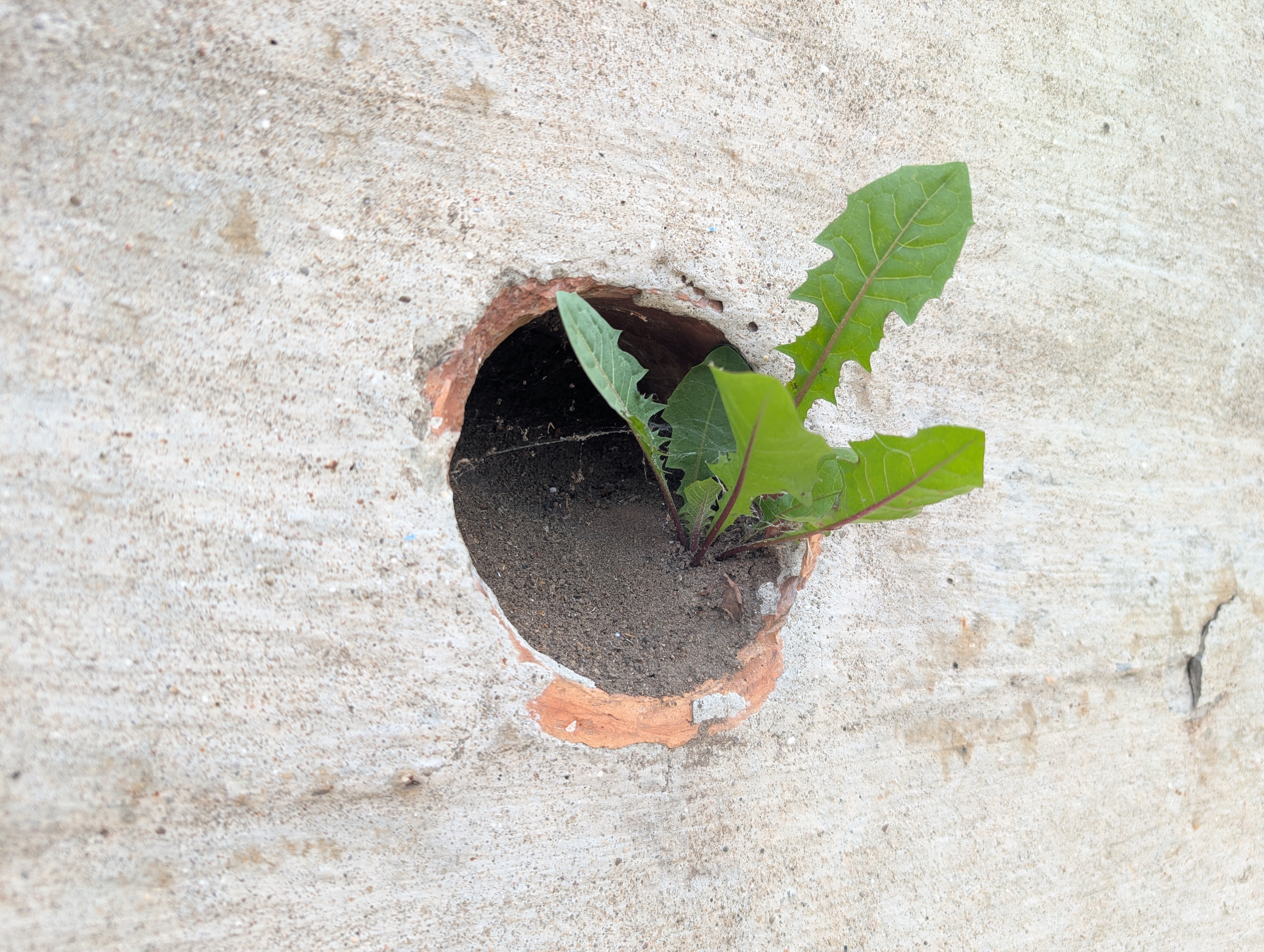 Ecological Niche Research
